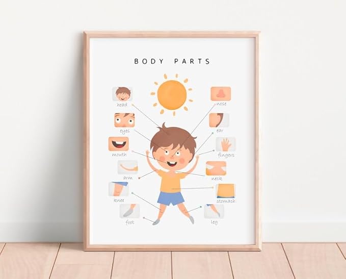 OZCONO Body Parts Poster for Kids Learning, Educational Classroom Wall Chart for Preschool, Toddler, Montessori Nursery Teaching Resource (Unframed) (20x30)