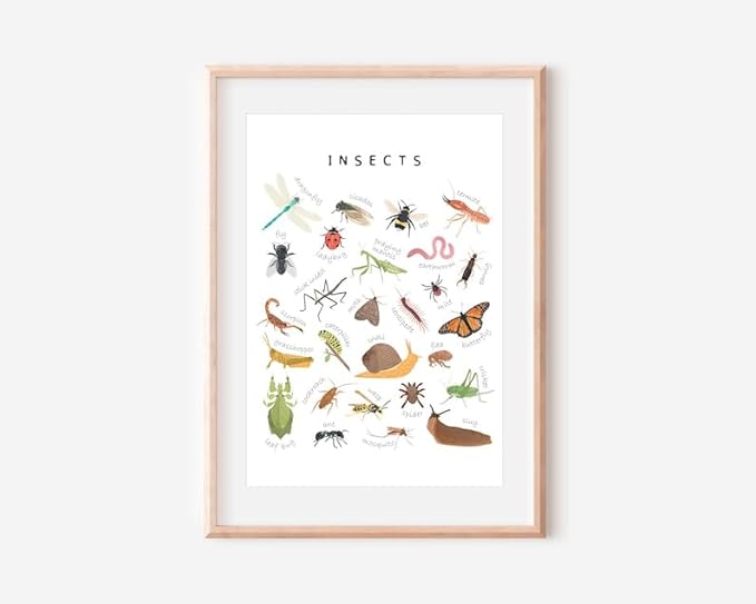 OZCONO Educational Insects Poster, Bugs Learning Chart Kids, Classroom Wall Decor Art, Montessori Homeschool Aid (Unframed) (12x18)