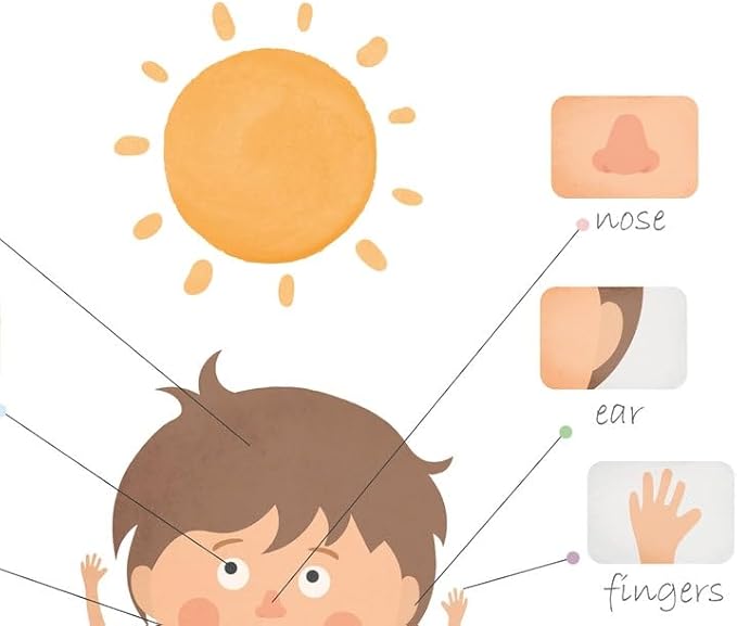 OZCONO Body Parts Poster for Kids Learning, Educational Classroom Wall Chart for Preschool, Toddler, Montessori Nursery Teaching Resource (Unframed) (24x36)