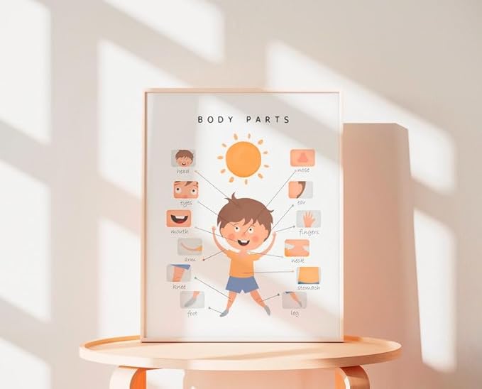 OZCONO Body Parts Poster for Kids Learning, Educational Classroom Wall Chart for Preschool, Toddler, Montessori Nursery Teaching Resource (Unframed) (20x30)