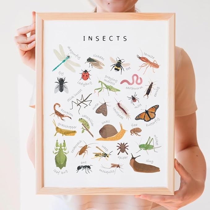 OZCONO Educational Insects Poster, Bugs Learning Chart Kids, Classroom Wall Decor Art, Montessori Homeschool Aid (Unframed) (12x18)