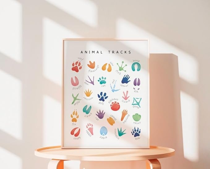 OZCONO Animal Tracks Learning Poster, Vibrant Wildlife Chart Kids, Preschool Wall Decor Art, Homeschool Education Guide (Unframed) (16x24)