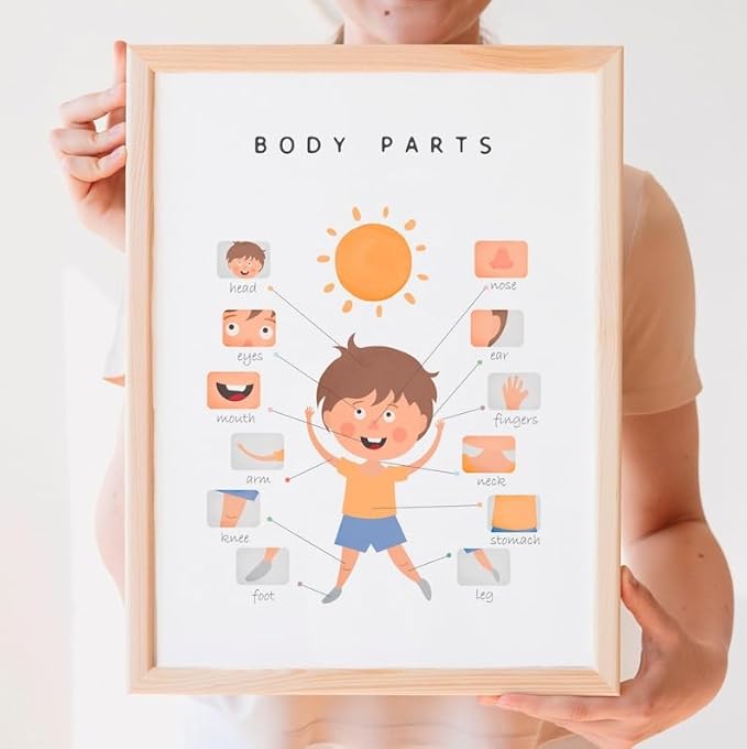 OZCONO Body Parts Poster for Kids Learning, Educational Classroom Wall Chart for Preschool, Toddler, Montessori Nursery Teaching Resource (Unframed) (9x11)