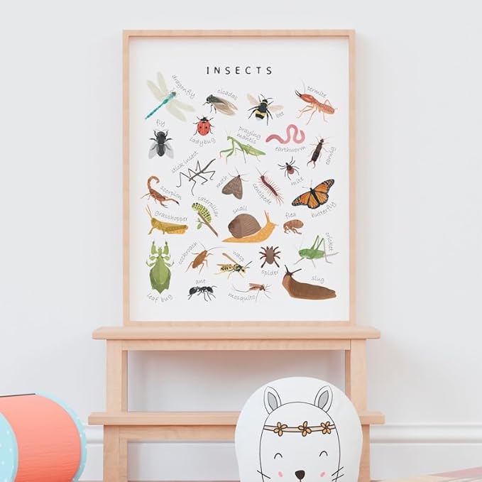 OZCONO Educational Insects Poster, Bugs Learning Chart Kids, Classroom Wall Decor Art, Montessori Homeschool Aid (Unframed) (12x18)
