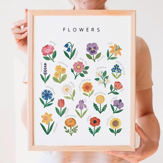 OZCONO Flowers Learning Poster, Vibrant Nature Chart Kids, Preschool Wall Decor Art, Homeschool Education Guide (Unframed) (16x24)