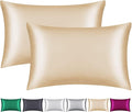 100% Mulberry Silk Pillowcase 2 Pack for Hair and Skin,with Hidden Zipper,Both Sides 22 Momme Natural Silk Pillow Cover,Soft Breathable & Smooth (Beige, Standard)
