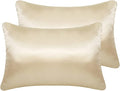 Silky Satin Toddler Pillowcases Set of 2, Super Soft Travel Pillow Covers, Small Kids Pillow Cases with Envelope Closure, 13"x 18", Champagne
