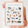 OZCONO Safari Animals Poster, Educational Jungle Chart for Kids, Playful Nursery Wall Decor, Montessori Learning, Homeschool Wildlife (Unframed) (27x40)