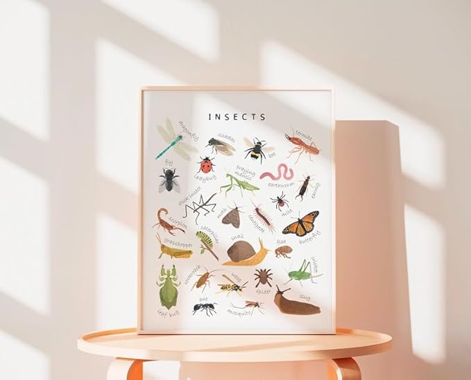 OZCONO Educational Insects Poster, Bugs Learning Chart Kids, Classroom Wall Decor Art, Montessori Homeschool Aid (Unframed) (24x36)