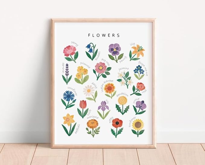 OZCONO Flowers Learning Poster, Vibrant Nature Chart Kids, Preschool Wall Decor Art, Homeschool Education Guide (Unframed) (16x24)