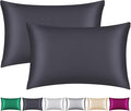 100% Mulberry Silk Pillowcase 2 Pack for Hair and Skin,with Hidden Zipper,Both Sides 22 Momme Natural Silk Pillow Cover,Soft Breathable & Smooth (Black, Standard)