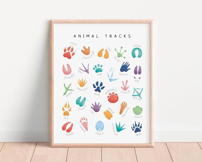 OZCONO Animal Tracks Learning Poster, Vibrant Wildlife Chart Kids, Preschool Wall Decor Art, Homeschool Education Guide (Unframed) (27x40)