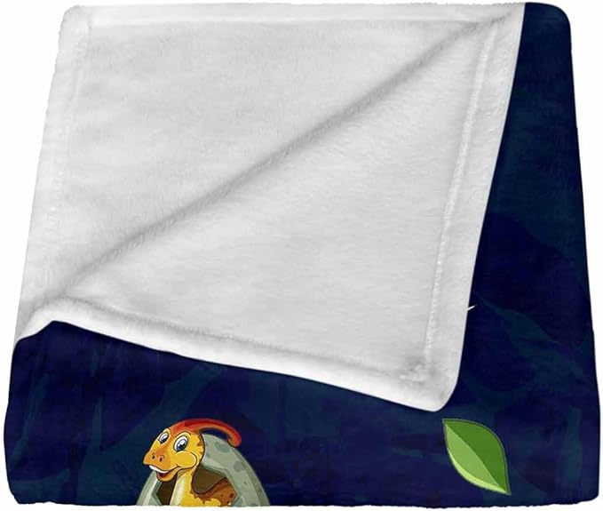 Ship Next Day, Custom Baby Blanket with Name for Boys Girls, Dinosaur Blankets, Personalized Name & Animals Blankets for Kids Teens, Christmas Birthday Gifts for Daughter Son Nephew Niece