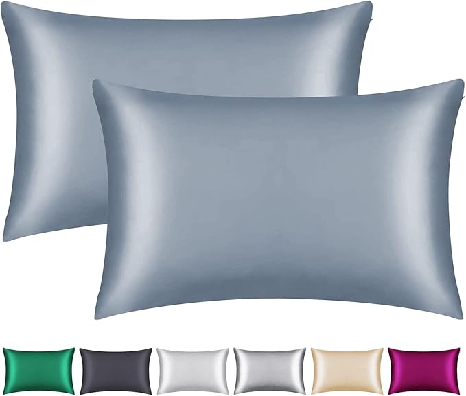100% Mulberry Silk Pillowcase 2 Pack for Hair and Skin,with Hidden Zipper,Both Sides 22 Momme Natural Silk Pillow Cover,Soft Breathable & Smooth (Air Blue, Queen)