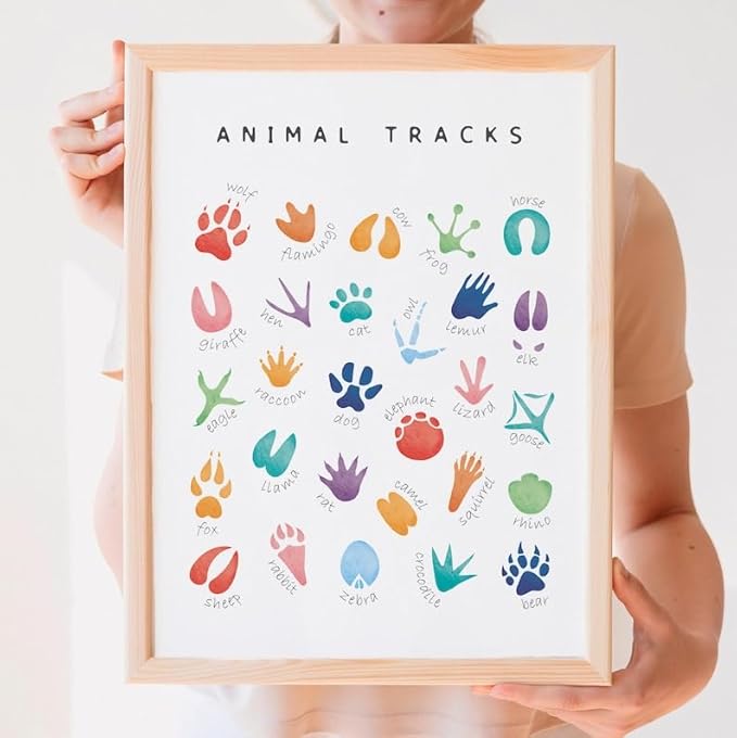 OZCONO Animal Tracks Learning Poster, Vibrant Wildlife Chart Kids, Preschool Wall Decor Art, Homeschool Education Guide (Unframed) (9x11)