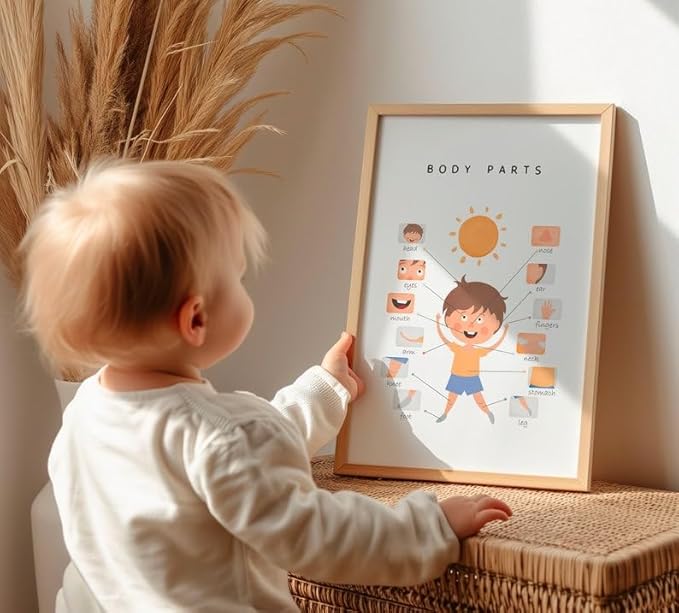 OZCONO Body Parts Poster for Kids Learning, Educational Classroom Wall Chart for Preschool, Toddler, Montessori Nursery Teaching Resource (Unframed) (11x14)