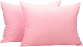 NTBAY Zippered Toddler Pillowcases Set of 2, 100% Brushed Microfiber 13x18 Pillowcases, Super Soft and Cozy Travel Kids Nursery Pillow Cases, 13x18 Inches, Pink