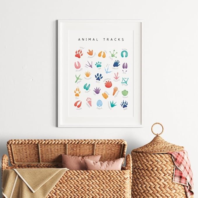 OZCONO Animal Tracks Learning Poster, Vibrant Wildlife Chart Kids, Preschool Wall Decor Art, Homeschool Education Guide (Unframed) (11x14)
