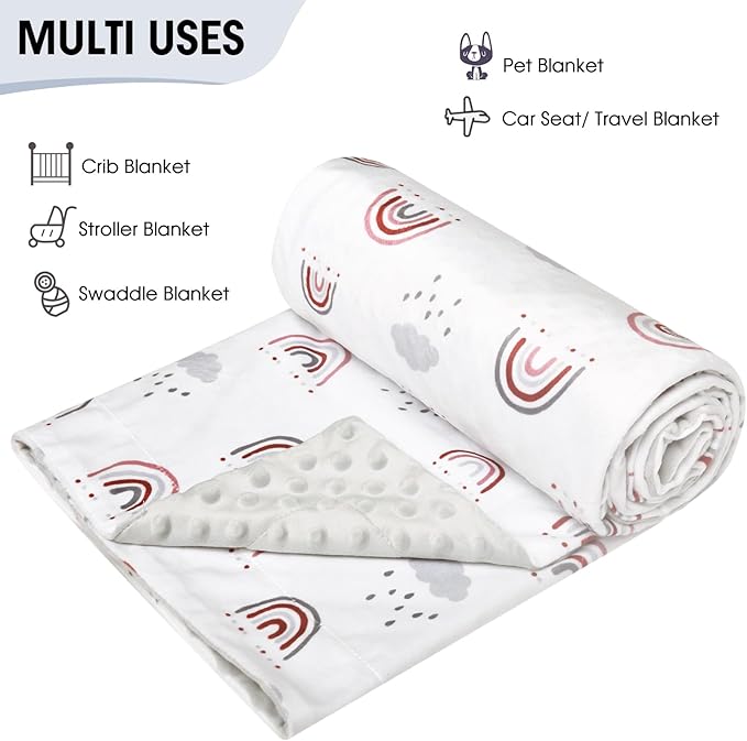 david's kids Micro Fleece Minky Baby Blanket for Boys Girls with Double Layer and Soothing Raised Dots, Breathable and Soft Lightweight Receiving Blanket for Newborns, 30x40 Inches, Rainbow