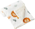 iEvolve Baby Nursery Bed Blankets Ultra Soft Double Layer Mini Blanket Minky Blanket Receiving Blankets Shower Gifts(Lion,30 * 47in)