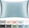 100% Mulberry Silk Pillowcase with Hidden Zipper,Both Sides Pure Silk Breathable Pillow Case for Hair and Skin,19 Momme Grade 6A,1pc,Pale Blue,Queen Size 20x30 Inches