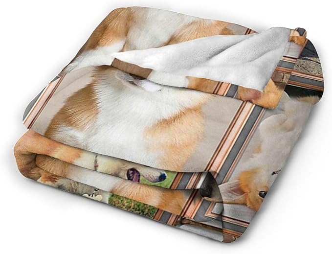 Tijuboni Corgi Throw Blanket Dog Gifts for Girls Boys Women Men Kids Adults Soft Flannel Fleece Blanket for Couch Sofa Bed Home Decor 50"x60"
