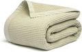 Salt Earth GOTS Certified 100% Organic Cotton Throw Blanket, 55"x60" Waffle Blankets & Throws for Bed, Throw Blanket for Couch, Cozy Christmas Blankets and Throws for Christmas Gifts (Sea Foam)
