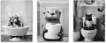 Framed Black and White Bathroom Wall Decor, Funny Animals Canvas Wall Art, Cute Otter Holding A Roll of Toilet Paper, Chimpanzee in Bathtub and Cat Reading Newspaper on the Toilet Pictures 24'' x 16''