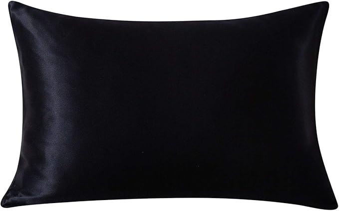 SLPBABY 100% Natural Pure Silk Pillowcase for Hair and Skin, Both Side 19 Momme Silk, Luxury Smooth Satin Pillowcase Cover with Hidden Zipper (Standard(20''x26''), Black)
