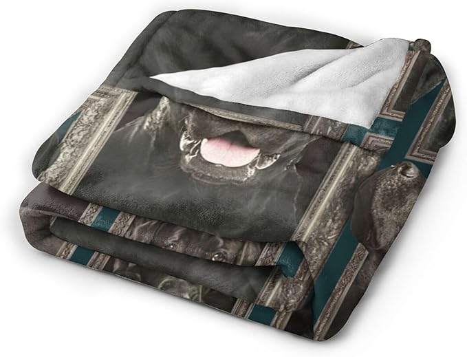 Tijuboni Labrador Retriever Throw Blanket Dog Gifts for Girls Boys Women Men Kids Adults Soft Flannel Fleece Blanket for Couch Sofa Bed Home Decor 50"x60"