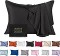 Mulberry Silk Pillowcase for Hair and Skin,Queen Size Cooling Silk Pillow Case with Hidden Zipper,Allergen Proof Dual Sides Soft Breathable Smooth Silk Pillow Cover for Women(Queen,Black)