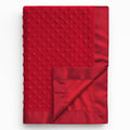 Pro Goleem Baby Soft Minky Dot Blanket with Silky Satin Backing Baby Gifts for Boys and Girls (Red, 30’’ x 40’’)