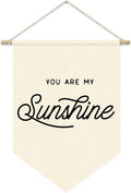 You Are My Sunshine Wall Hanging Banner, Kids Room Decor, Trendy Pennant Flag Banner Wall Hanging Decor for Nursery Home Classroom