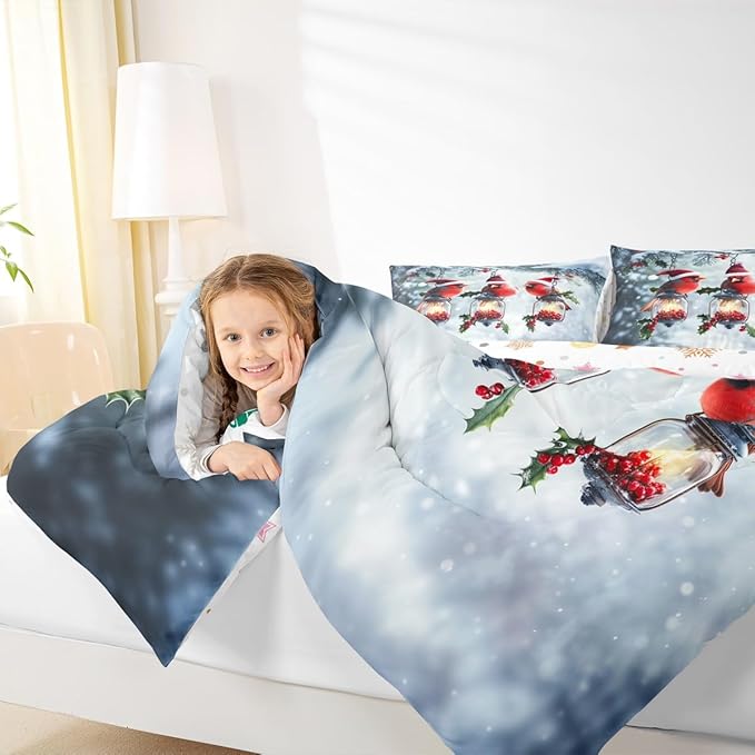 Feelyou Merry Christmas Comforter Set All Season Robin Bird Bedding Set with 1 Pillow Cases Snowflake Microfiber Kids Twin Bedclothes Winter Bedroom Decor Duvet Quilt Breathable Soft Lightweight