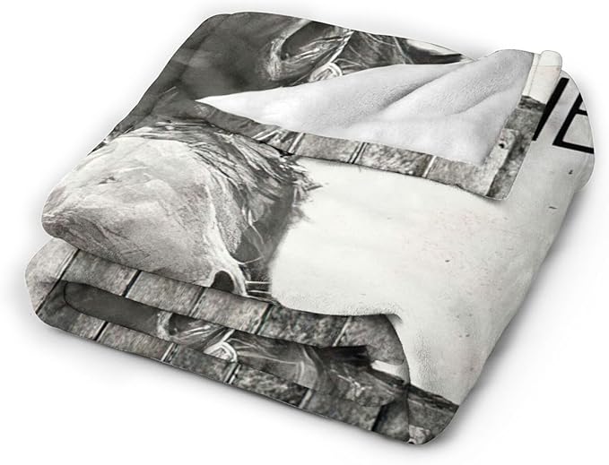 Tijuboni Funny Donkey Throw Blanket Donkey Gifts for Girls Boys Women Men Kids Adults Soft Flannel Fleece Blanket for Couch Sofa Bed Home Decor 40"x50"