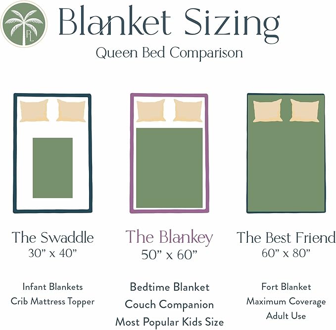 Personalized Dinosaur Blanket for Kids, Ships Next Day - Dino Throw Blanket for Boys and Girls, Toddler Bed, Room & Bedroom Decor - Educational Blankets for Children - USA Based (30x40, Fleece)