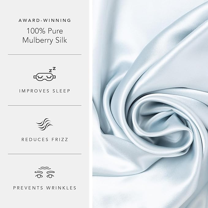 Fishers Finery 25mm 100% Pure Mulberry Silk Pillowcase (Blue Queen 2 Pack)
