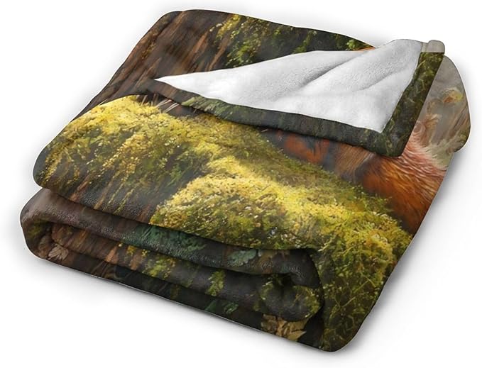 Tijuboni Fox Throw Blanket Fox Gifts for Girls Boys Women Men Kids Adults Soft Flannel Fleece Blanket for Couch Sofa Bed Home Decor 40"x50"