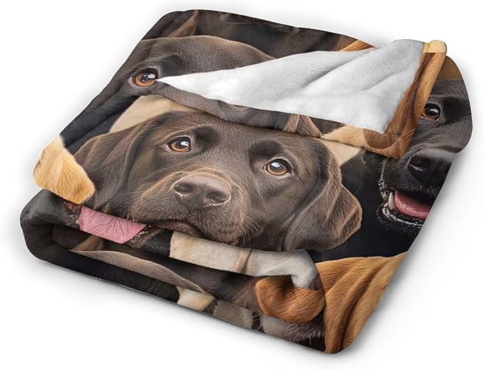 Labrador Blanket for Girls Boys Chocolate Retriever Throw Blankets Soft Cozy Warm Fuzzy Fleece Bedding Flannel Dog Throws Stuffed Animal Gifts for Labrador Lovers Kids Men Women Bedroom Decor 80"x60"