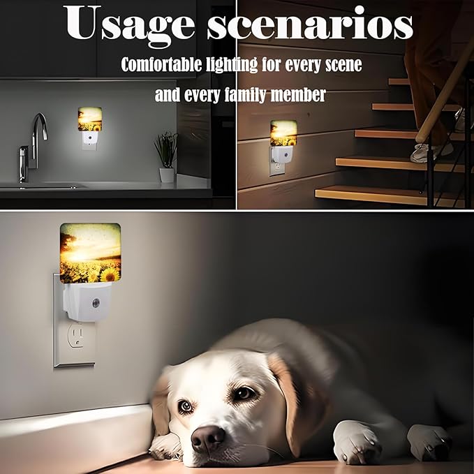 Sunflower Field at Sunset Night Light,Plug Into Wall Decor for Stairway,Hallway,Kitchen,Dusk to Dawn Sensor Nightlights for Boys/Girls/Women/Men Room Gifts