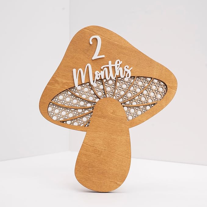 Baby Monthly Milestone, Wooden Baby Milestone Signs, Monthly Milestone Wood Discs, Baby Milestone Discs (3D Mushroom)