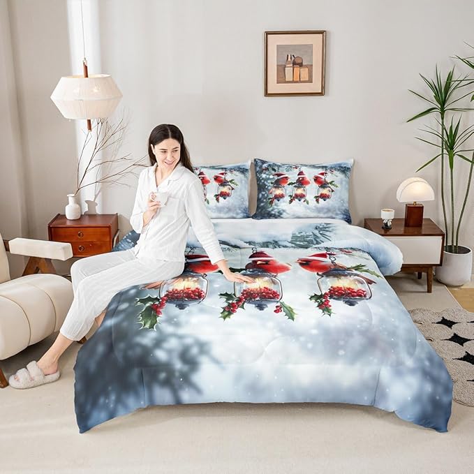 Feelyou Merry Christmas Comforter Set All Season Robin Bird Bedding Set with 2 Pillow Cases Snowflake Microfiber Kids King Bedclothes Winter Bedroom Decor Duvet Quilt Breathable Soft Lightweight