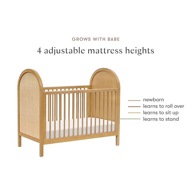 babyletto Bondi Cane 3-in-1 Convertible Baby Crib - GREENGUARD Gold Certified Convertible Crib to Toddler Bed & Daybed - Wooden Baby Bed with 4 Adjustable Heights - Made of 100% Solid Wood - Honey