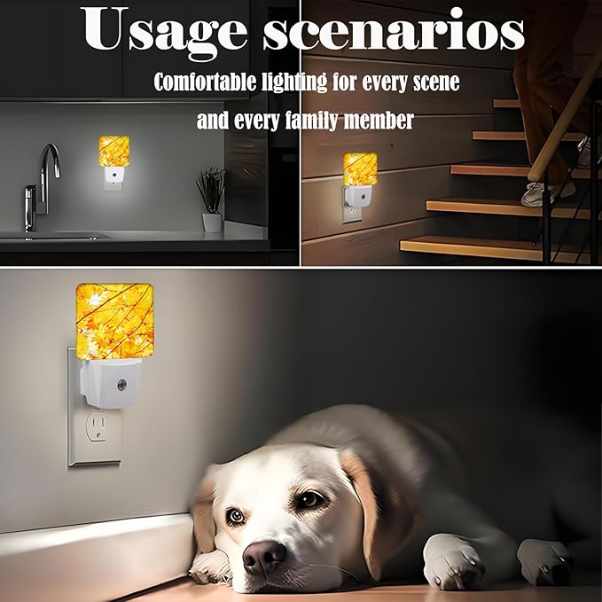 Autumn Maple Leaves Night Light,Plug Into Wall with Dusk to Dawn Light Sensors, Warm Nightlights for Bedroom, Bathroom, Hallway, Kitchen, Gifts Ideal for Boys Girls Women Men