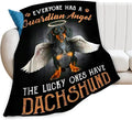 Dachshund Gifts & Decor: Cute Dog Throw Blanket - Soft, Warm, Cozy Fleece for Couch, Sofa, Bed - 50"x40"