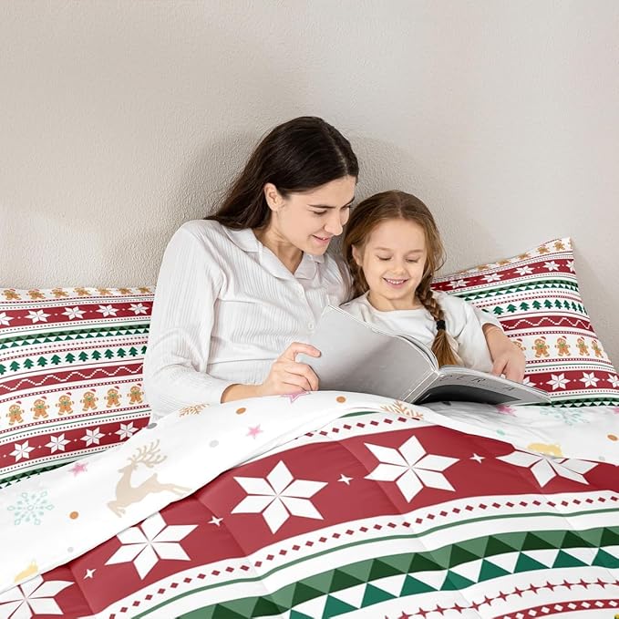 Feelyou Merry Christmas Bedding Set Soft for Boys Girls, Gingerbread Man Comforter Set Twin Size Duvet Quilt Microfiber Striped Bedroom Decor 2 Pcs with 1 Pillow Cases