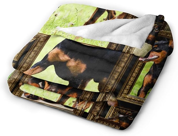 Cute Doberman Blanket for Girls Boys Doberman Pinscher Dog Throw Blankets Soft Cozy Warm Fuzzy Fleece Funny Puppy Bedding Flannel Throws Stuffed Animal Gifts for Kids Men Women Bedroom Decor 60"x50"