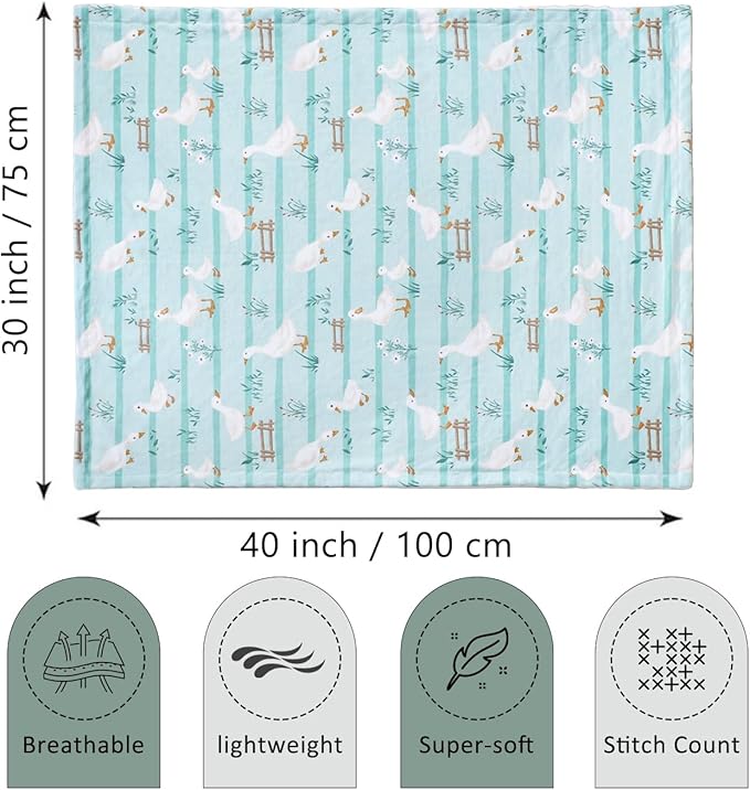 BORITAR Super Soft Baby Blanket for Boys Minky Fabric Bed Blanket with Double Layer Dotted Backing, Cute Farm Animal Design for Infant Toddler Newborn 30 x 40 Inch