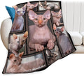 Sphynx Cat Gifts & Decor - Cute Throw Blanket for Girls, Women, Kids & Adults - Soft, Warm, Cozy Fleece Blanket for Couch, Sofa & Bed - 50"x40"