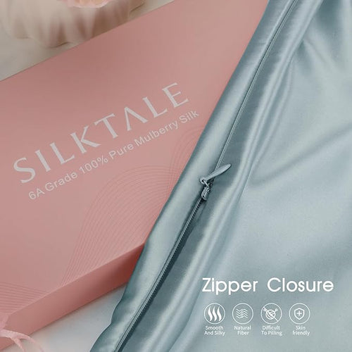100% Mulberry Silk Pillowcase with Hidden Zipper,Both Sides Pure Silk Breathable Pillow Case for Hair and Skin,19 Momme Grade 6A,1pc,Pale Blue,Queen Size 20x30 Inches